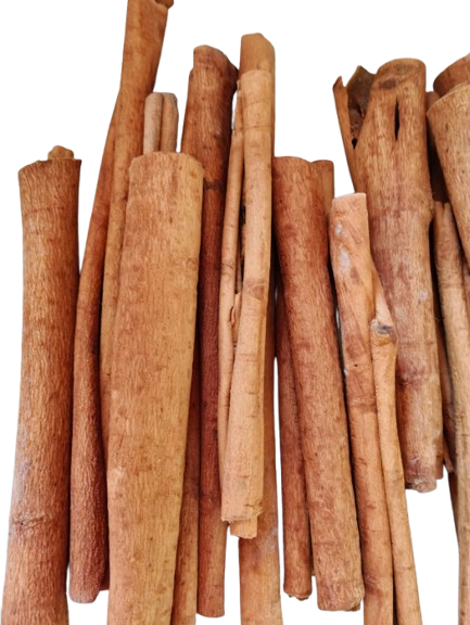 Canela